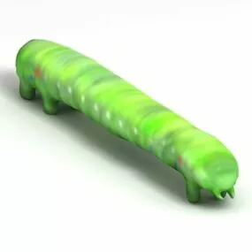 Inch Worm Animal 3d model