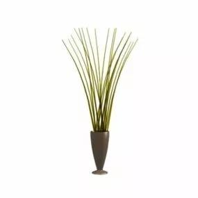 Indoor Decorative Plant 3d model