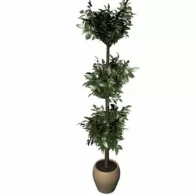 Indoor Decorative Tree 3d model