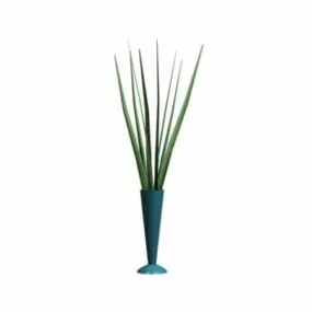 Indoor Ornamental Plant 3d model