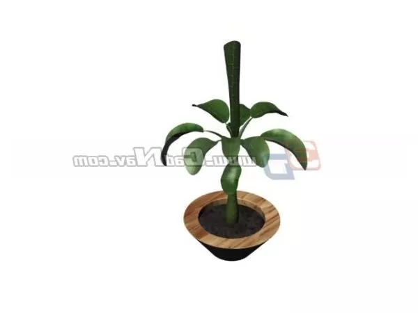 Japanese Bonsai Decoration 3d model