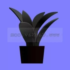 Indoor Plants 3d model