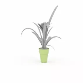 Indoor Plants With Broad Leaves 3d model