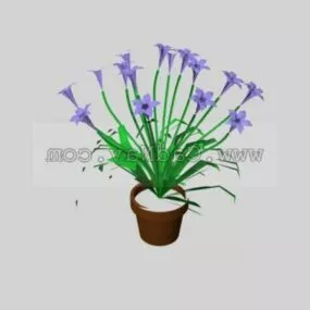Indoor Potted Flower Plant 3d model