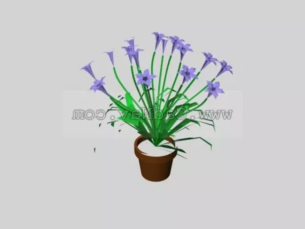 Indoor Potted Flower Plant 3d model Indoor Potted Flower Plant 3d model