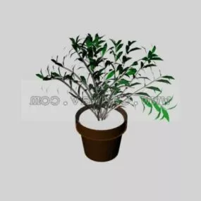 Indoor Potted Landscape 3d model