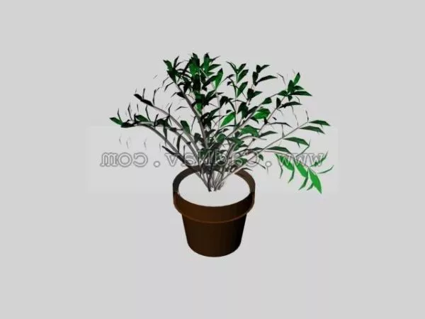 Indoor Potted Landscape 3d model Indoor Potted Landscape 3d model