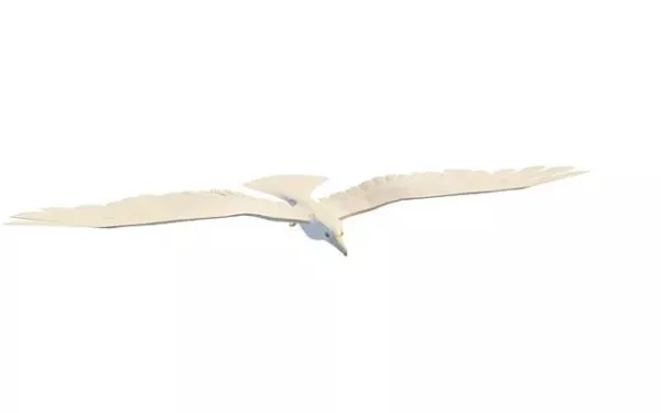 Chocobo Creature Animal 3d model