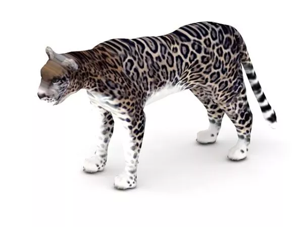 Aye Aye Lemur Mammal 3d model