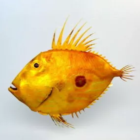 John Dory 3d model