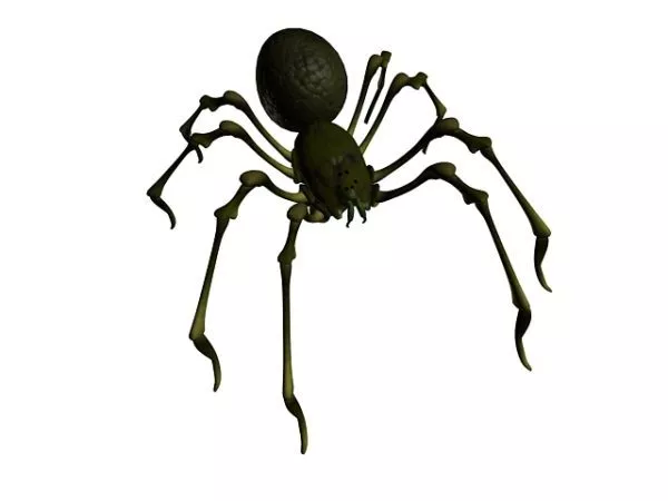 Wild Desert Spider 3d model