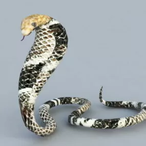 King Cobra Snake 3d model