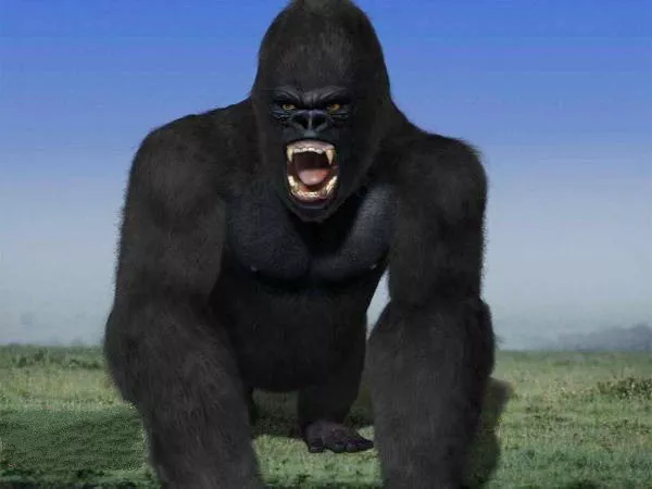 Cartoon Monkey Rig 3d model