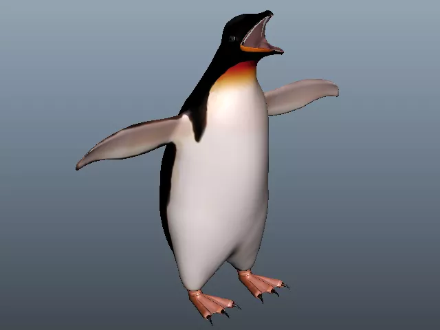 King Penguin Animal 3d model King Penguin Animal 3d model
