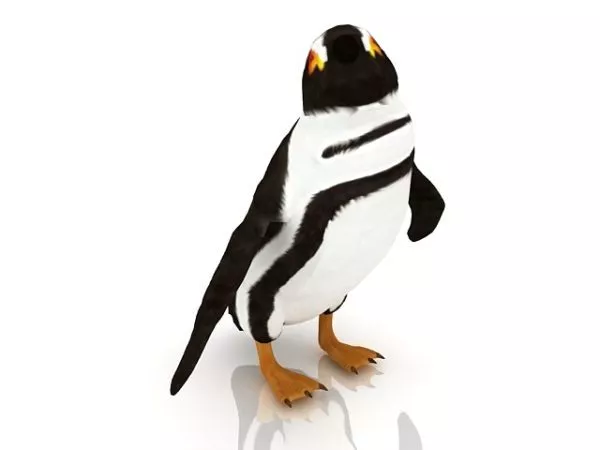 King Penguin Animal 3d model King Penguin Animal 3d model
