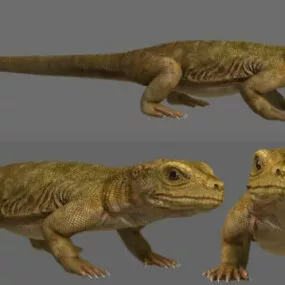 Komodo Dragon 3d model