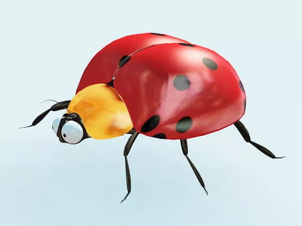 Lady Beetle 3d model Lady Beetle 3d model