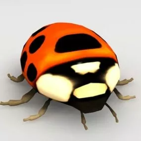 Ladybug Insect Animal 3d model