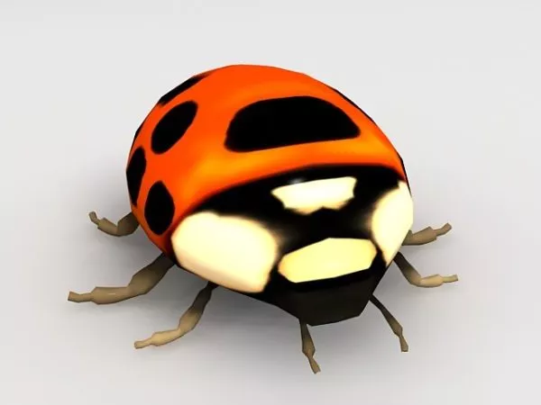 Ladybug Insect Animal 3d model Ladybug Insect Animal 3d model