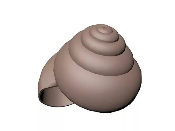 Shell Shape 3d model