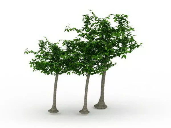 Scene Landscape With Tree Fence 3d model
