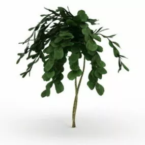 Landscaping Small Yard Tree 3d model