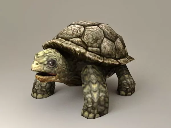 Large Sea Turtle Animal 3d model Large Sea Turtle Animal 3d model