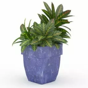 Large Leaf House Plant 3d model