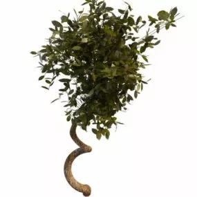 Large Vine With Leaves 3d model