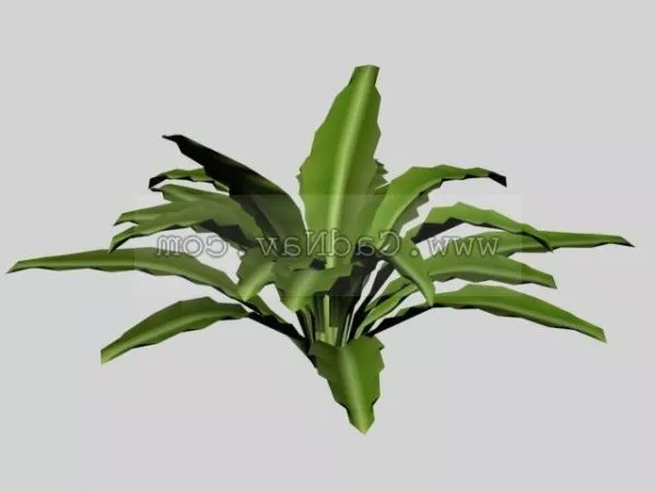 Leafy Plant 3d model Leafy Plant 3d model