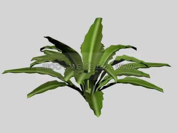 Leafy Plants 3d model Leafy Plants 3d model