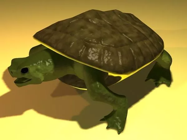 Turtle Fighter Character 3d model