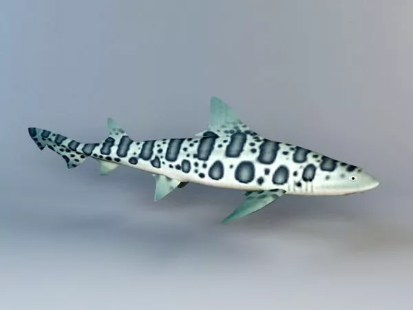 Snow Leopard V1 3d model