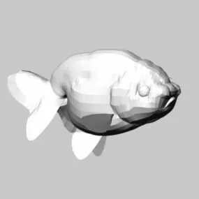 Animal Lion-head Ranchu Goldfish 3d model
