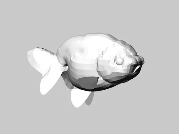 Sel Sea Fish 3d model