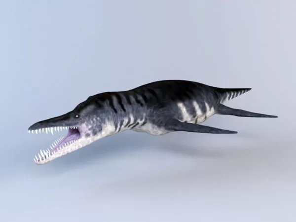 Liopleurodon Pliosaurs 3d model Liopleurodon Pliosaurs 3d model