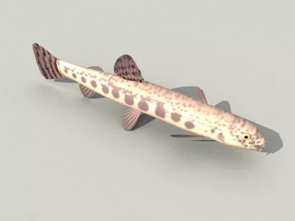 Loach Fish 3d model Loach Fish 3d model