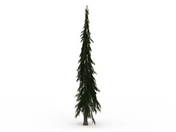 Snow Falling On Christmas Tree 3d model