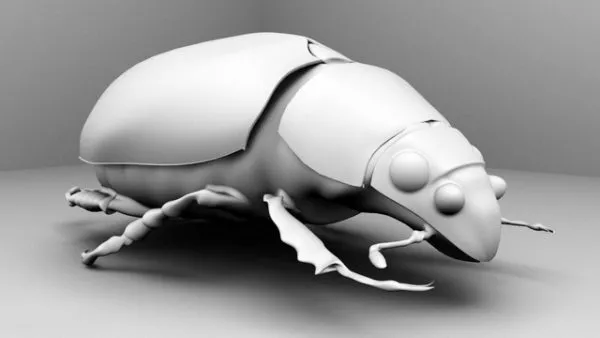 Boxelder Bug 3d model