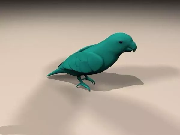 Bird Lorikeets 3d model Bird Lorikeets 3d model