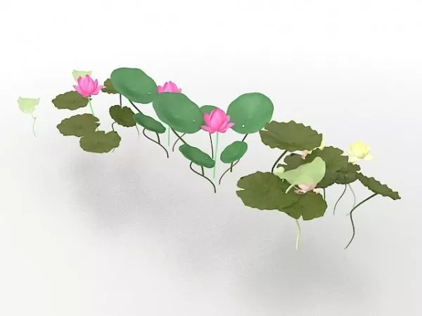 Lotus Flower And Leaves 3d model Lotus Flower And Leaves 3d model