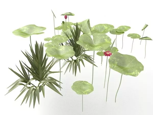 Lotus Flower Leaves 3d model Lotus Flower Leaves 3d model