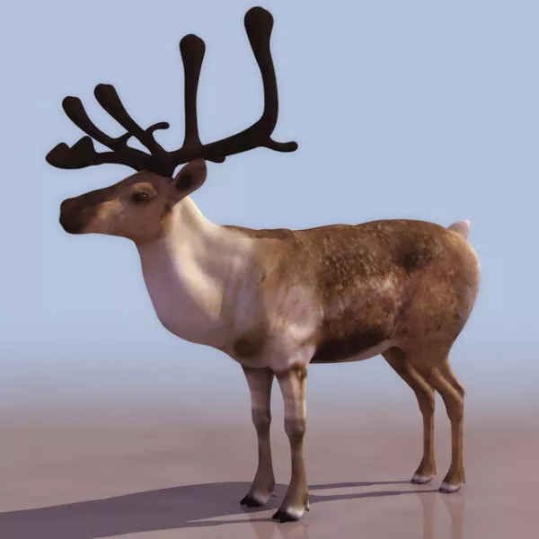 Reindeer Headpiece 3d model