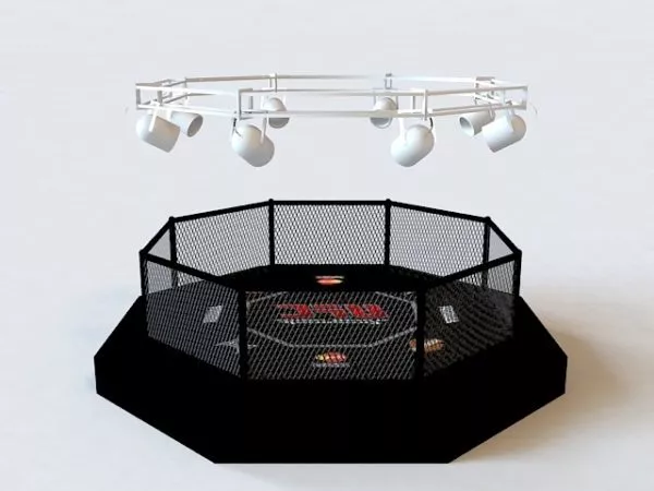 Bird Cage Common Style 3d model