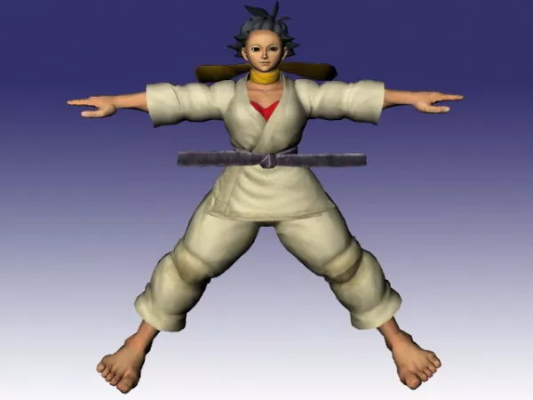 Makoto In Street Fighter 3d model Makoto In Street Fighter 3d model
