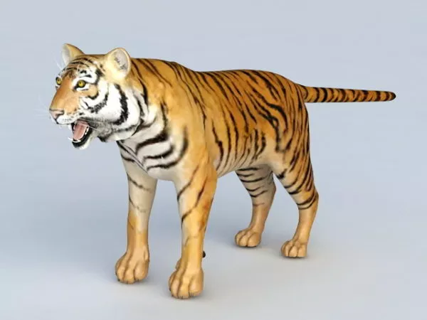 Malayan Tiger Free 3d Model - .Obj - Open3dModel