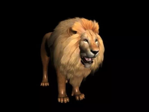 Baby Lion Low Poly 3d model