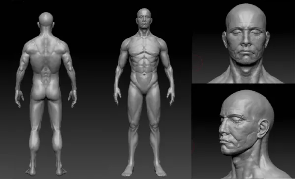 Woman Base Mesh 3d model