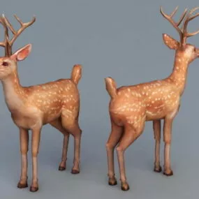 Male Spotted Deer 3d model
