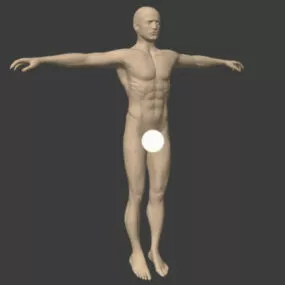 Male Base Mesh Character 3d model